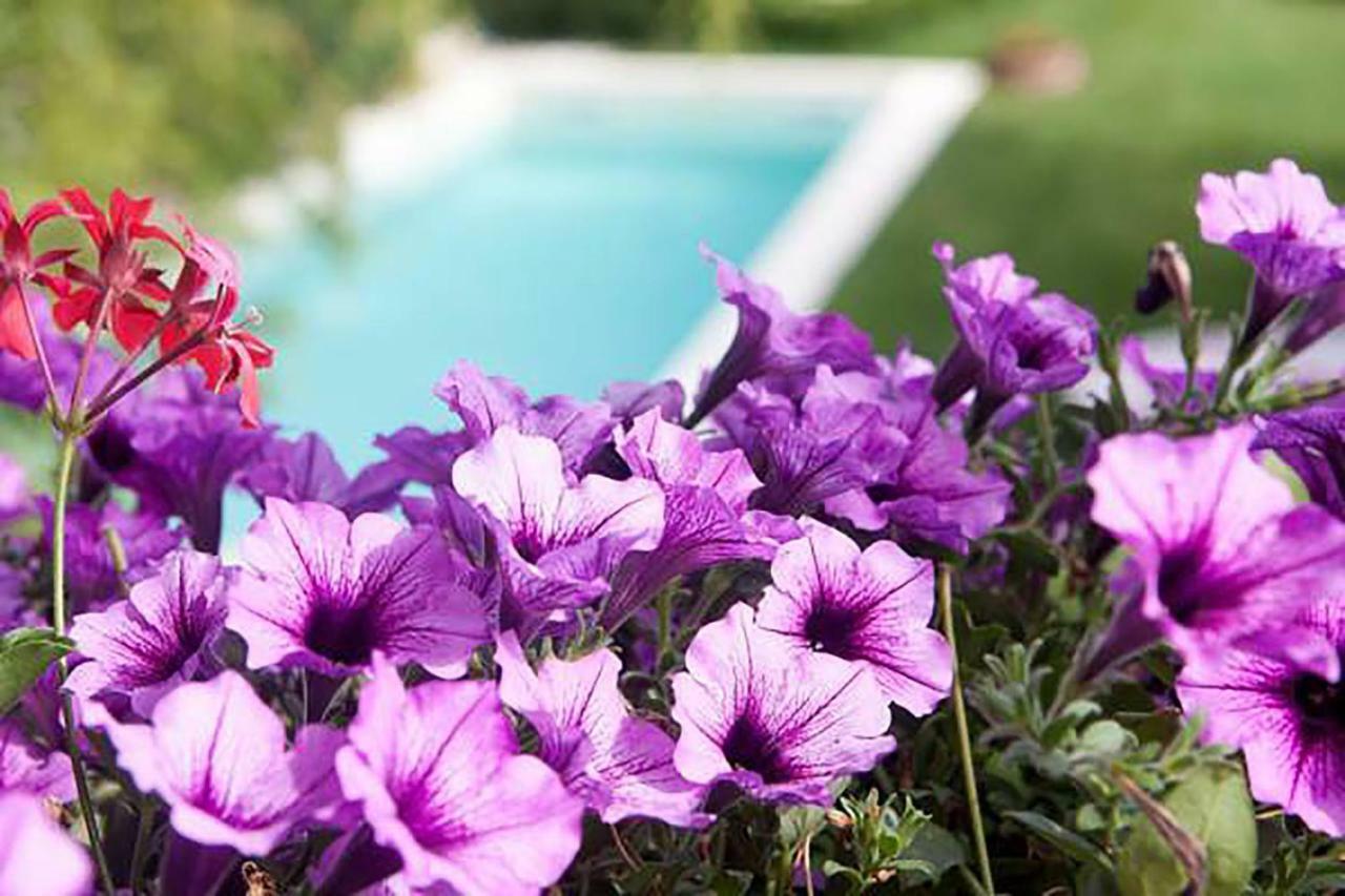 Bed and Breakfast Mary'S Dream Manoppello Exterior foto